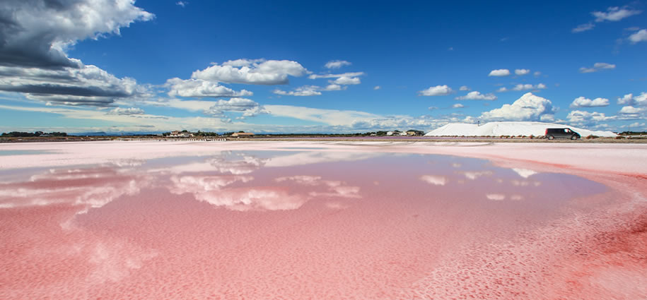 Meersalz und Spezialitäten