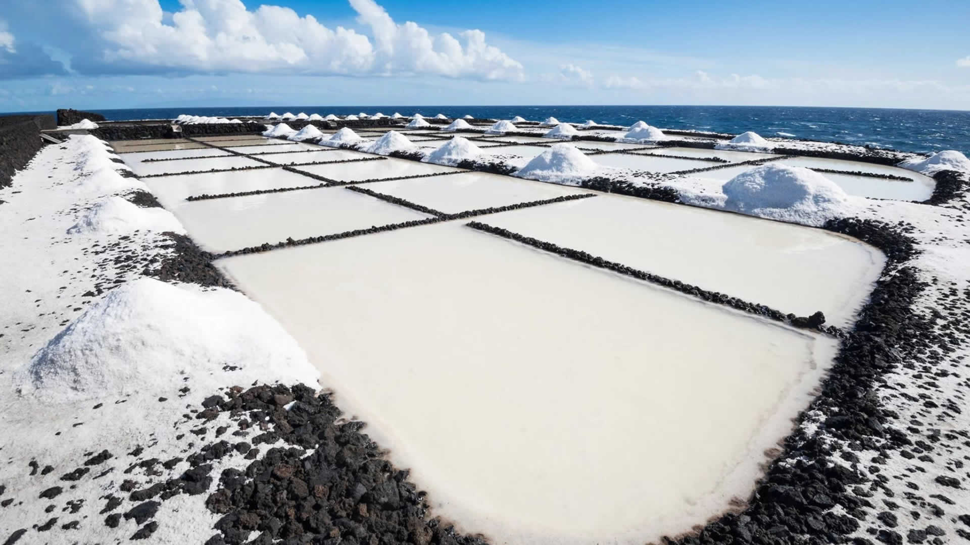 Meersalz und Spezialitäten